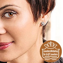 Huiscollectie Sieraden zilver