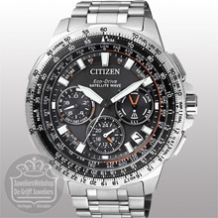 Citizen Satellite Wave