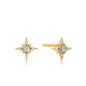 Ania Haie 14kt Gold Oorbellen EAU001-09YG