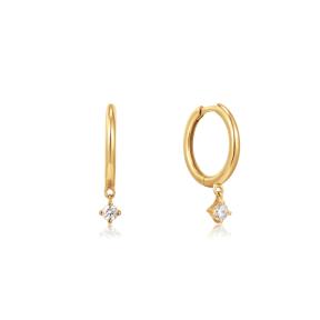 Ania Haie 14kt Gold Oorbellen EAU001-15YG
