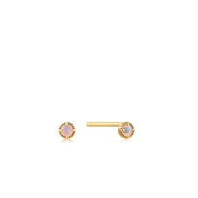 Ania Haie 14kt Gold Oorbellen EAU001-25YG