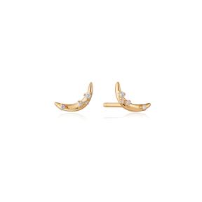 Ania Haie 14kt Gold Oorbellen EAU002-04YG