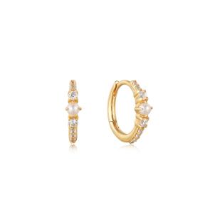 Ania Haie 14kt Gold Oorbellen EAU003-01YG