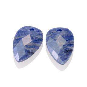 sparkling jewels Sodalite Blossom eardrops eagem20-bs