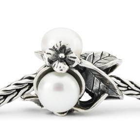 Trollbeads Serene Pracht TAGBE-00287