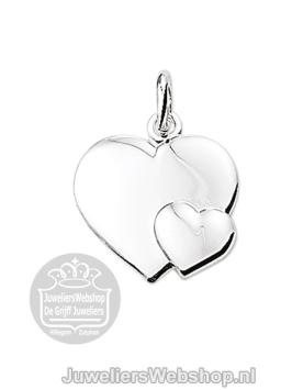 Zilver hanger
