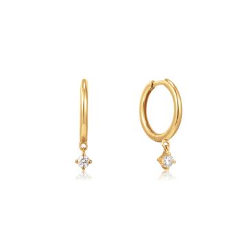 Ania Haie 14kt Gold Oorbellen EAU001-15YG