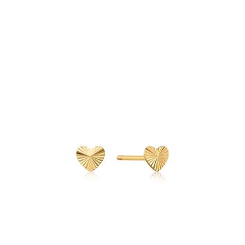 Ania Haie 14kt Gold Oorbellen EAU001-19YG