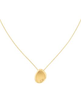 Calvin Klein Fascinate collier CJ35000224