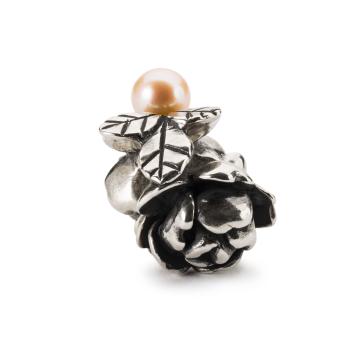 Trollbeads Roos van Waardering TAGBE-00274