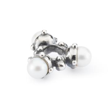 trollbeads kraal Parels van licht TAGBE-00291 zilver