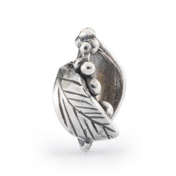 trollbeads kraal Een nieuw begin TAGBE-00296