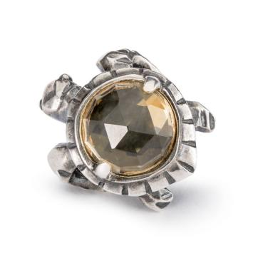 trollbeads kraal Lang Leven TAGBE-00299 zilver