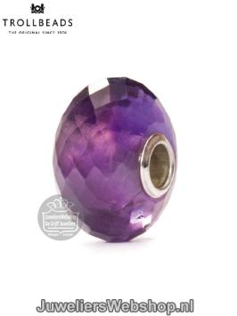 Trolbeads amethist kraal TSTBE-20003 paars