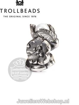 Trollbeads TAGBE-00031 Meiduindoorn