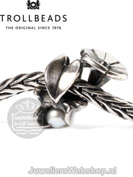 Trollbeads TAGBE-00035 Septemberwinde